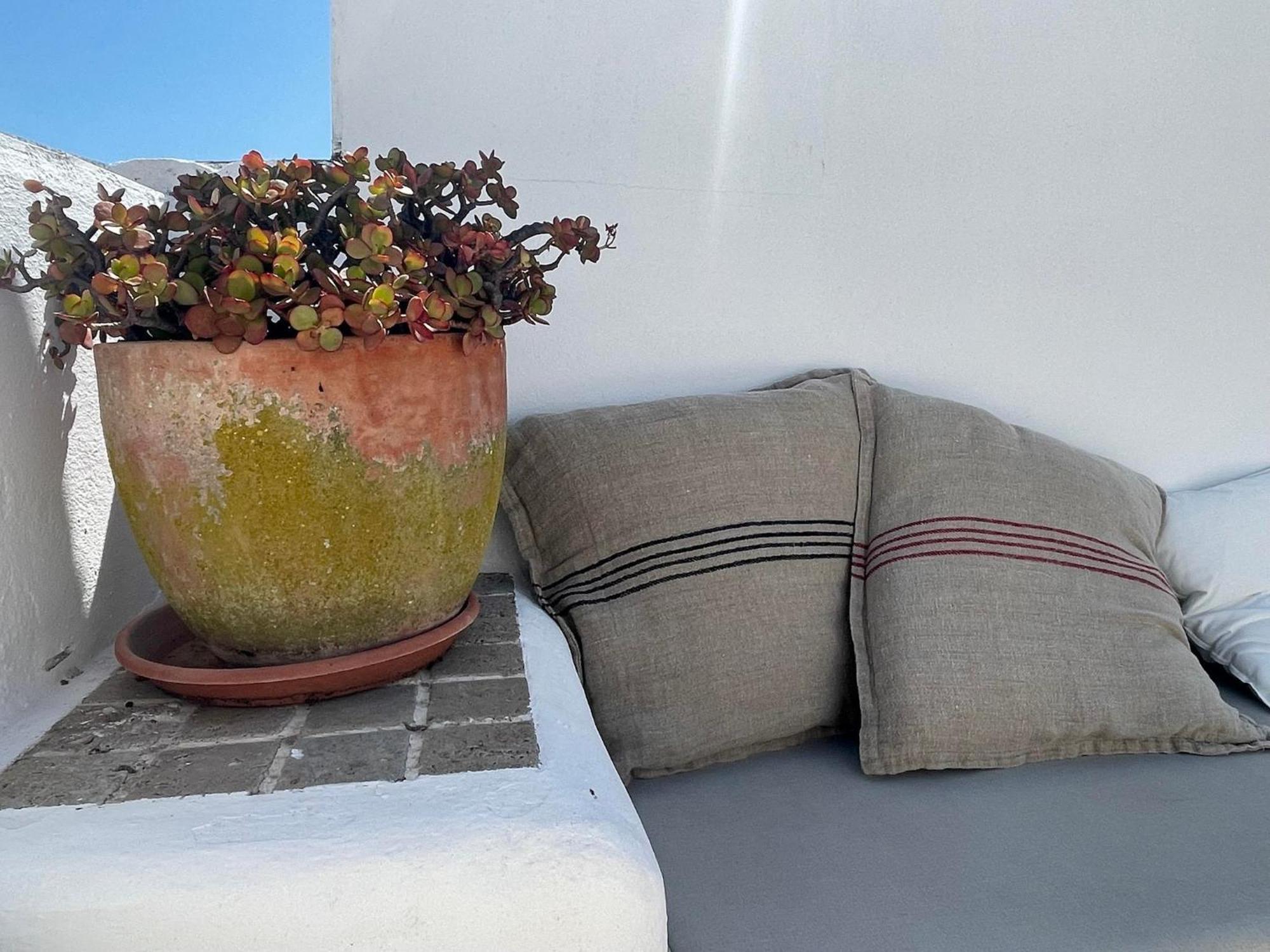 Casa Badillo - Califa Casas Vejer Villa Vejer de la Frontera Eksteriør bilde